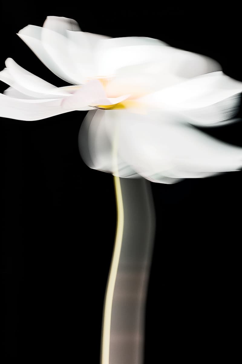 SEO Tecnico: Come la Qualità del Codice Influisce sul Ranking